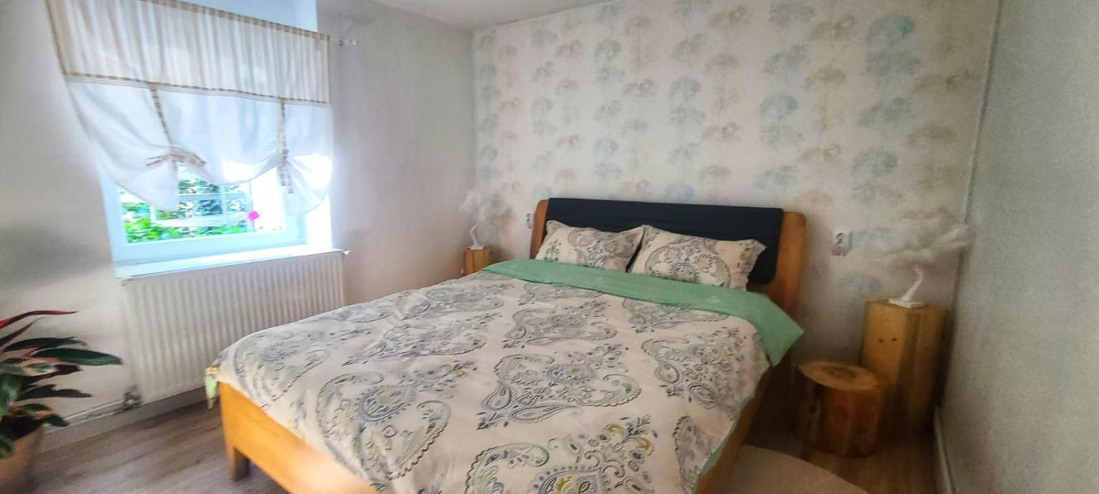 Anna'S Guesthouse 克卢日-纳波卡 外观 照片