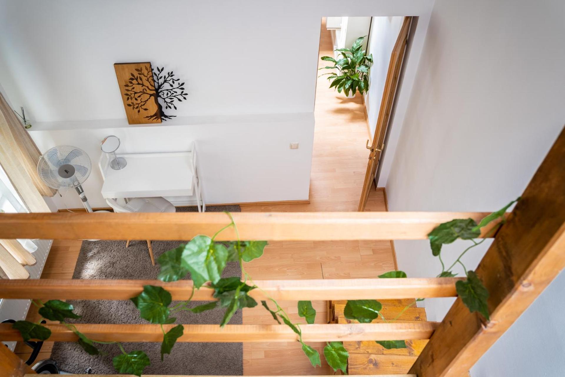 Anna'S Guesthouse 克卢日-纳波卡 外观 照片